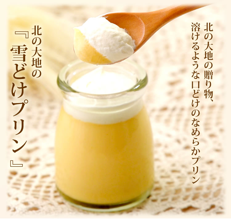 北の大地 の 『 雪どけ プリン 』 ４個 入り × 2セット スイ