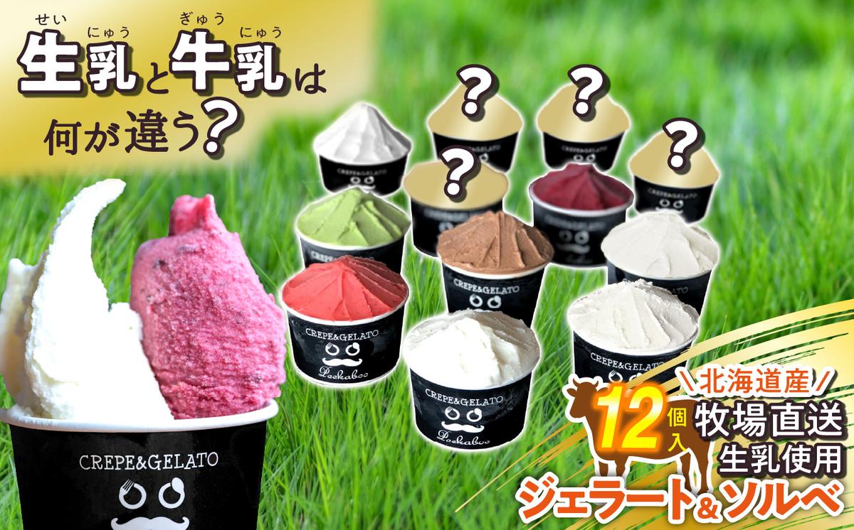 北海道産 生乳 ジェラート アイス 12個入り ジェラートセッ