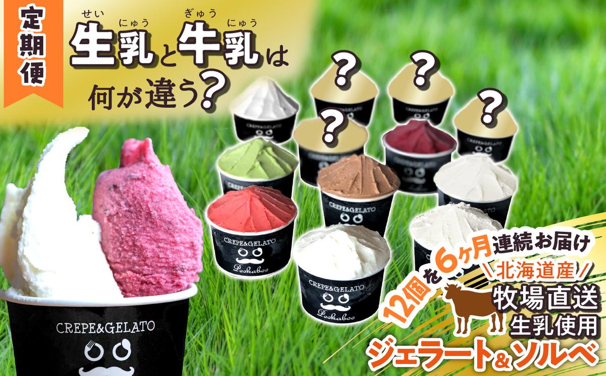 ＜6ヶ月定期便＞北海道産 生乳 ジェラート アイス 毎月12個 