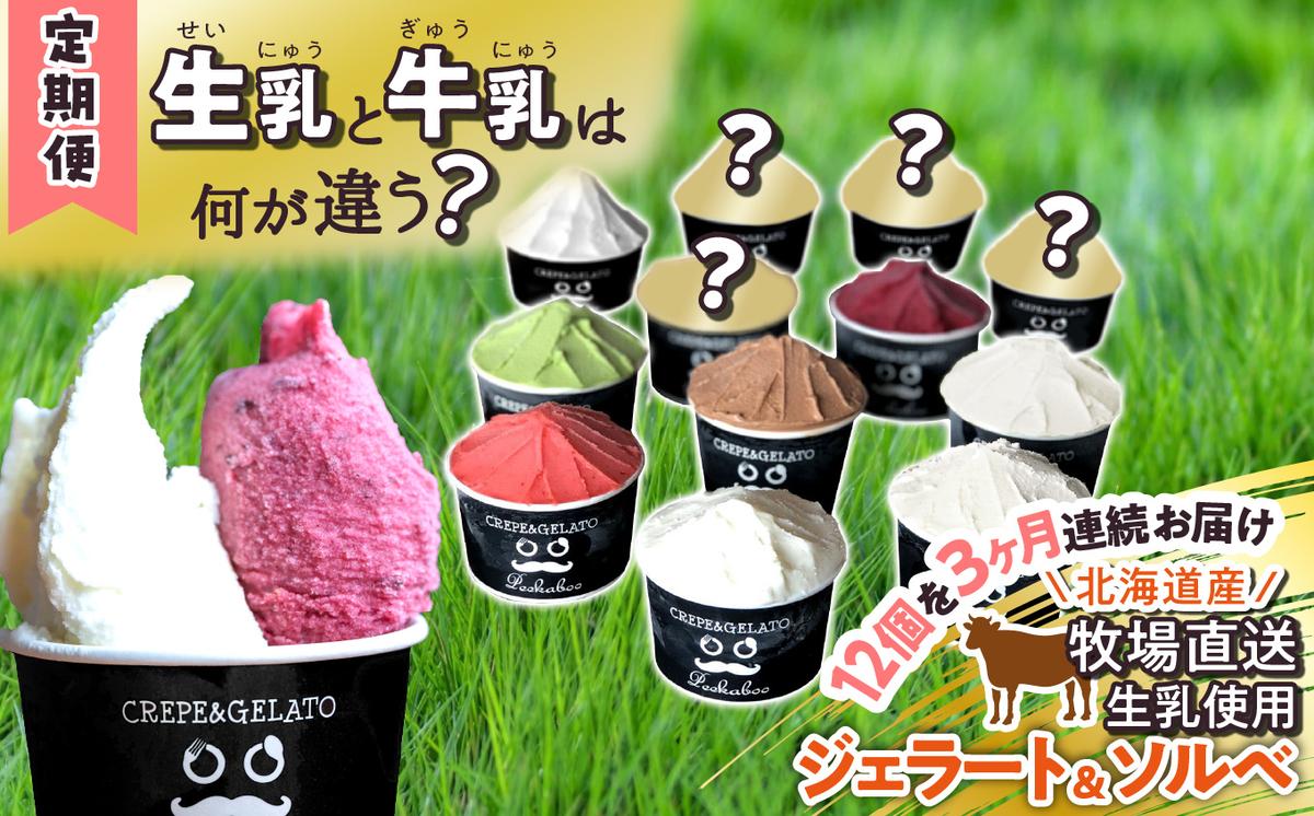 ＜3ヶ月定期便＞北海道産 生乳 ジェラート アイス 毎月12個 
