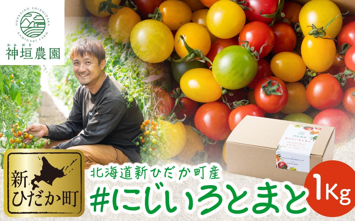 ＜ 9月30日までの受付 ＞ 北海道産 カラフルトマト ミニトマ
