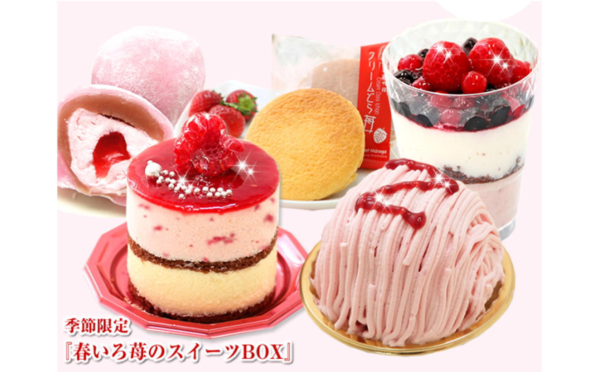 【3月中旬から発送】春限定！苺の5種スイーツセット　北海