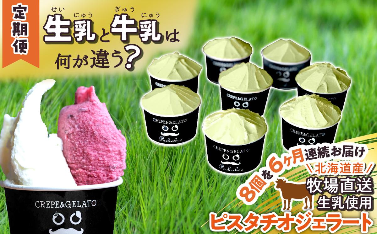 ＜6ヶ月定期便＞北海道産 生乳 ジェラート アイス ピスタチ