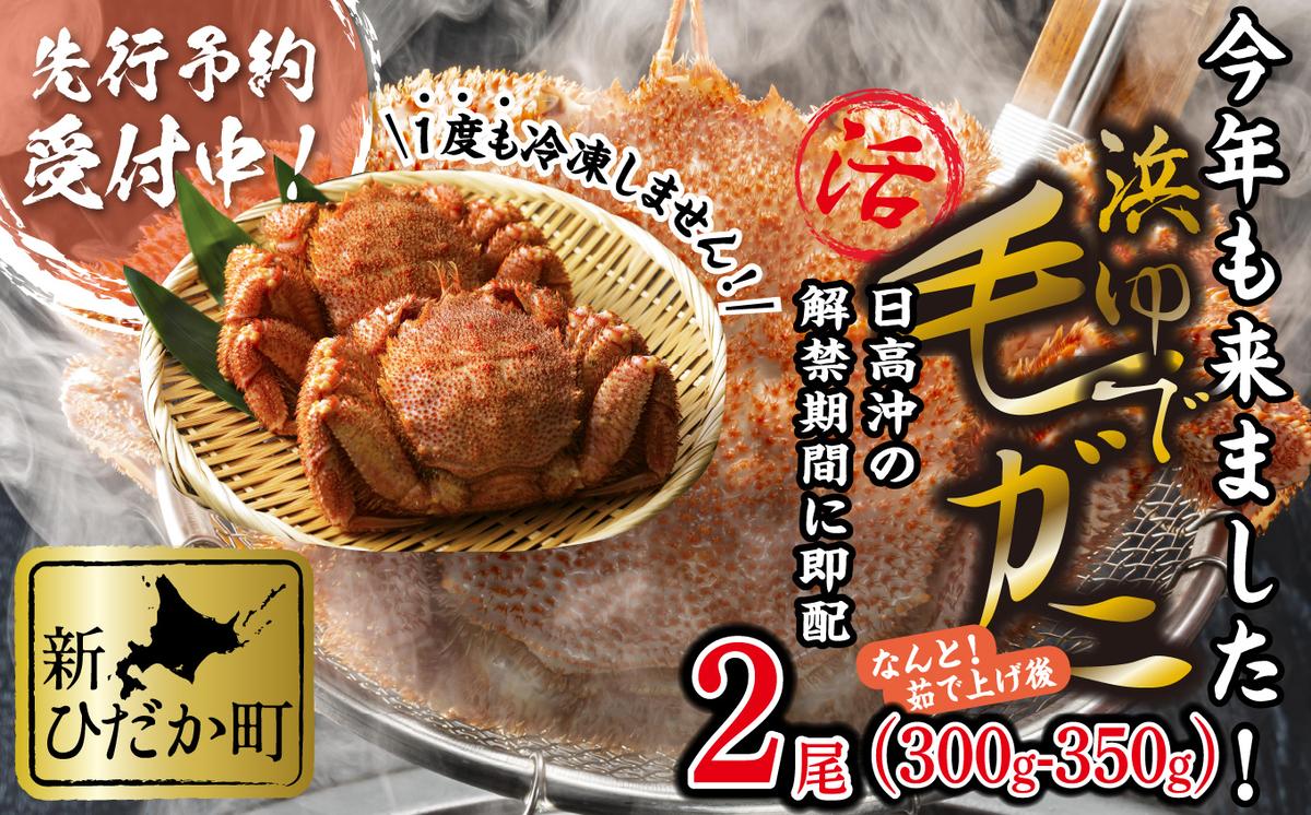 ＜2026年2月中旬から順次発送＞ 北海道産 かに 浜ゆで 毛が