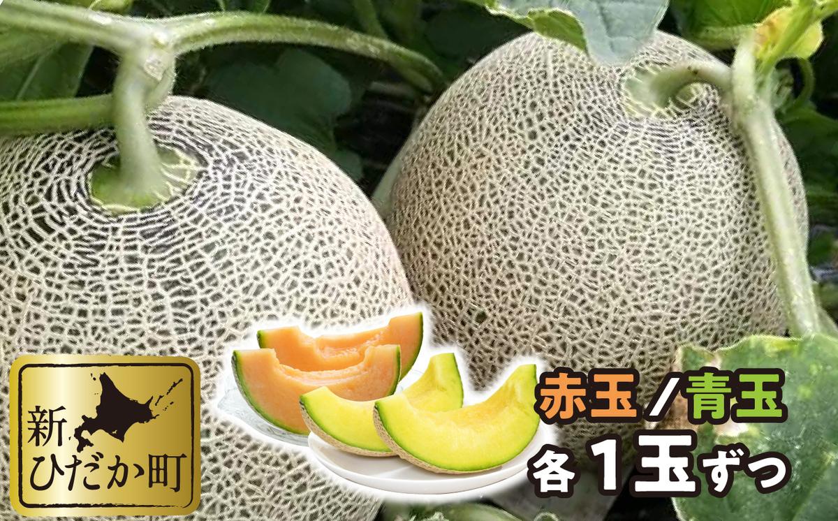 ＜ 2025年7月中旬より発送 ＞ 北海道産 メロン 赤肉 青肉 各1