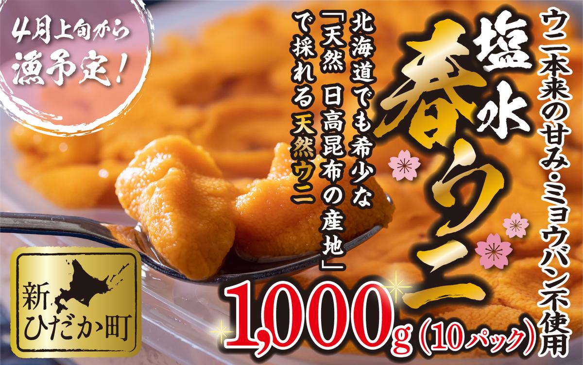 ＜ 2026年4月上旬より発送 ＞ うに 北海道 1,000g （ 100g × 10パ