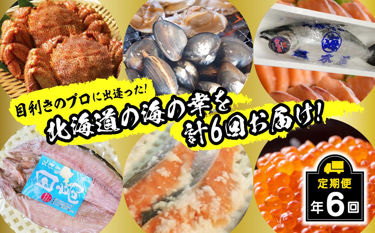 ＜2026年2月から順次発送＞【 定期便 6回 】 北海道産 海の幸