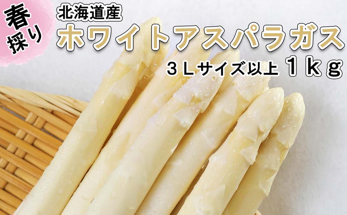 ＜先行予約＞ 北海道産 春採り ホワイト アスパラガス 1kg 3L