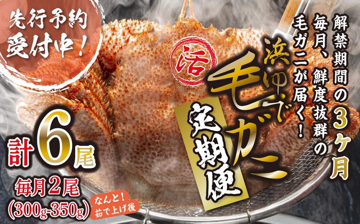 ＜2026年2月上旬から順次発送＞【 定期便 全 3回 】 北海道産