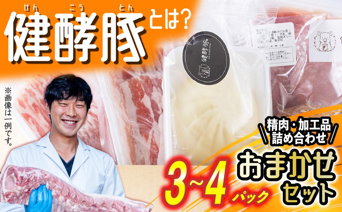 北海道産 健酵豚 おまかせ セット 3～4パック 豚肉 精肉 加