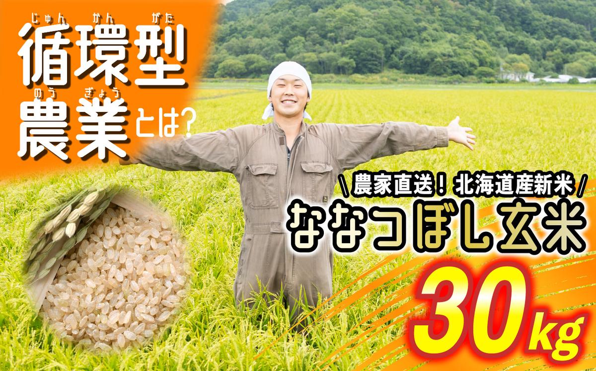 ＜2024年9月より発送＞ 北海道米 新米 ななつぼし玄米 30kg （
