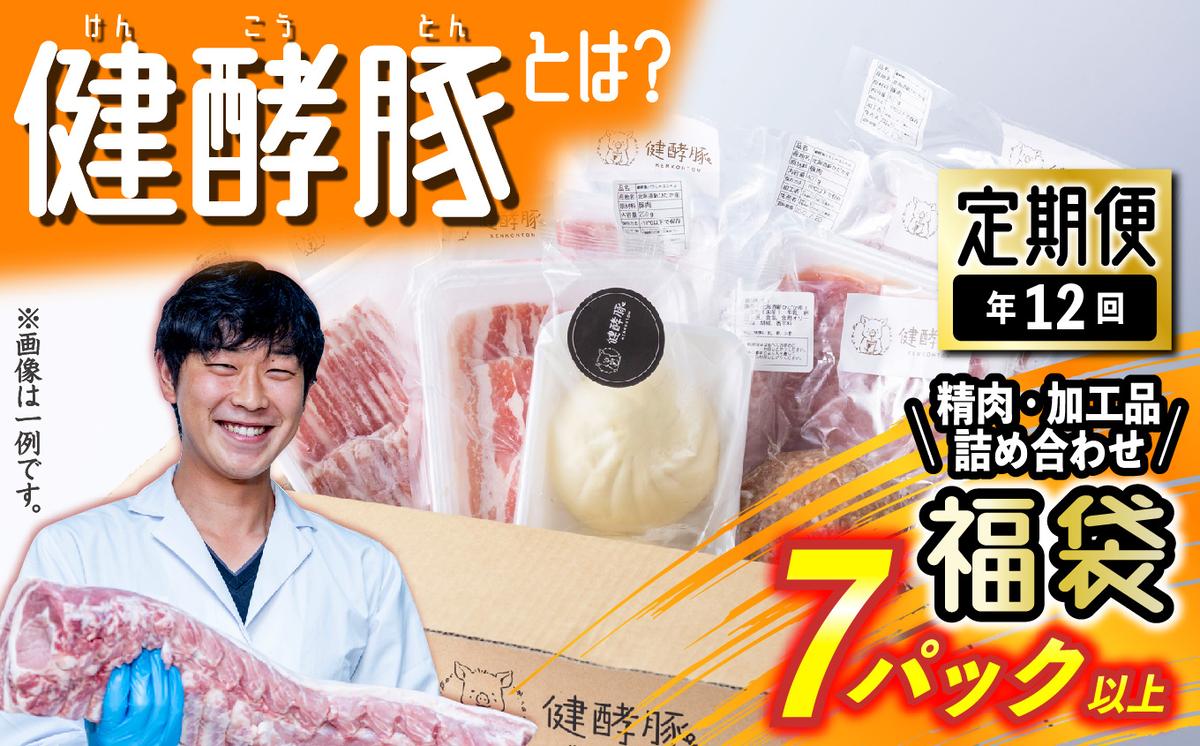 ＜ 定期便 12回 ＞ 北海道産 健酵豚 お楽しみ 福袋 （ 加工品