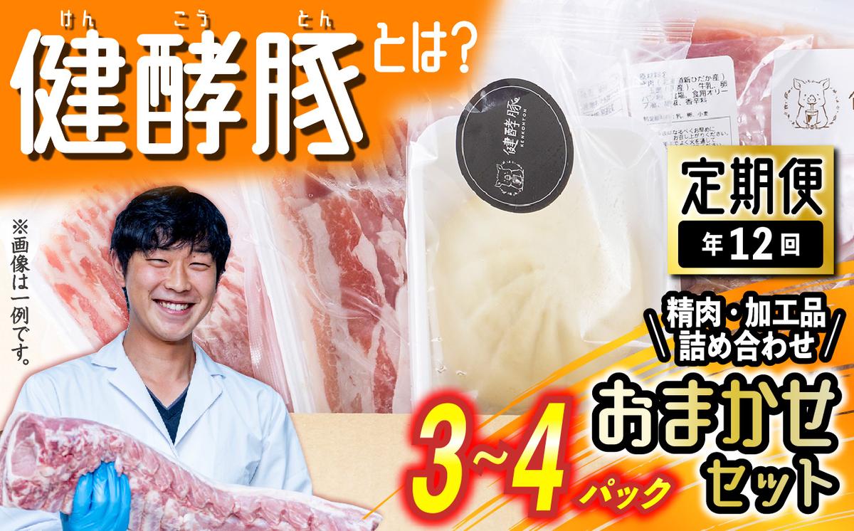 ＜ 定期便 12回 ＞ 北海道産 健酵豚 おまかせ セット （ 加工