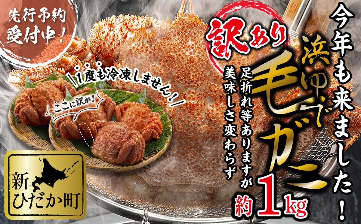 ＜2026年2月中旬から順次発送＞ 訳あり 北海道産 浜ゆで 毛