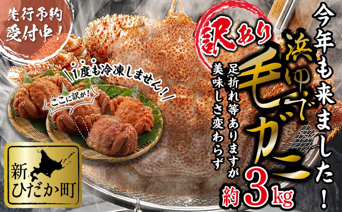 ＜2026年2月中旬から順次発送＞ 訳あり 北海道産 浜ゆで 毛