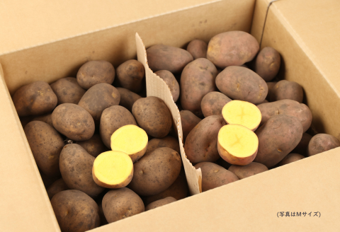 ［先行受付］インカのめざめとインカのひとみの逸品セット（Sサイズ）各6kg 合計12kg【A68】