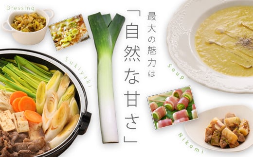 〔先行受付〕「たけなかファーム」とかちポワロー（リーキ、ポロネギ）【A50】《2025年11月上旬より順次発送》