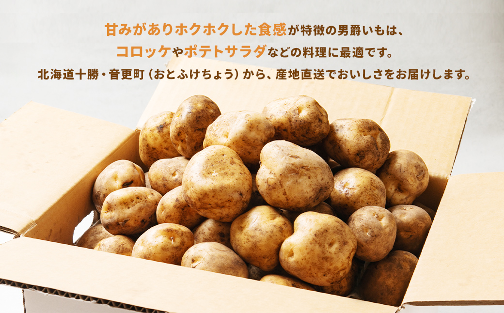 ［先行受付］おとふけ産男爵いも 7kg【B17】 2025年10月上旬頃より順次発送