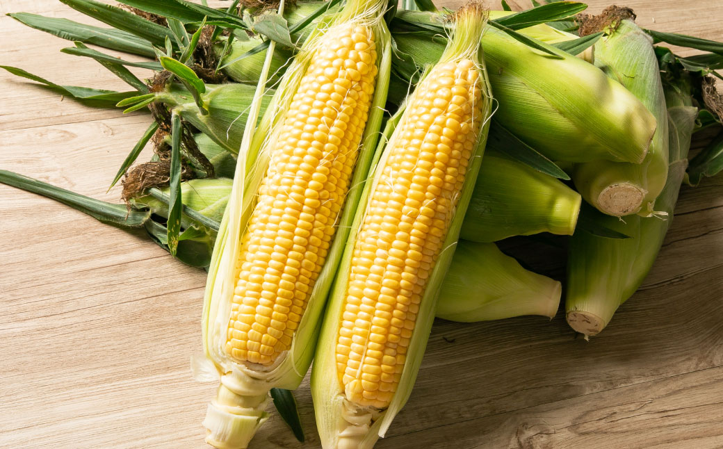 ［先行受付］おとふけ産とうもろこし 12本【B18】2025年8月上旬頃より順次発送