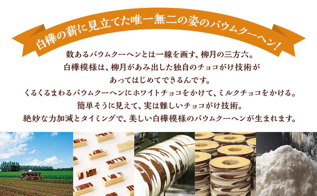 「柳月」三方六の小割プレーン（5個入り）2セット【B67】