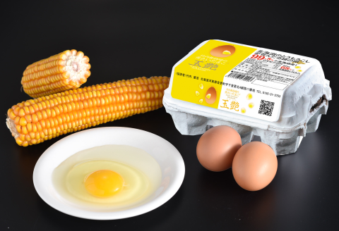 竹内養鶏場の白いたまご「米艶」と黄色いたまご「玉艶」セット【B27】
