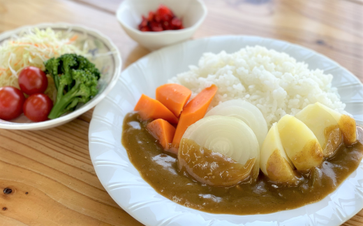 自慢のカレー野菜セット【A63】