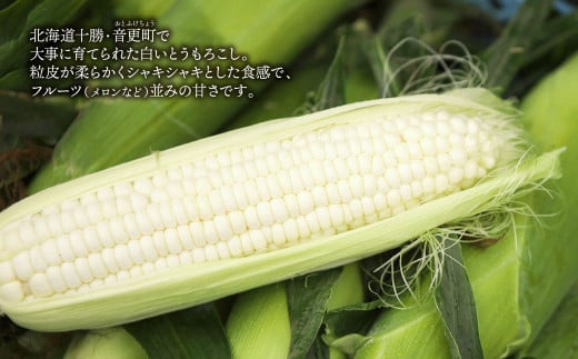 ［先行受付］北海道十勝産 木野シャイニングコーン12本セット【A15】2026年8月中旬頃より順次発送