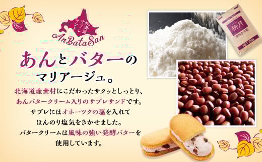 「柳月」あんバタサン20個セット【A72】お菓子 あんバター