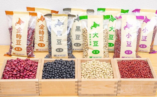 【令和7年産】 おとふけ生豆セット「JAおとふけ」【A17】