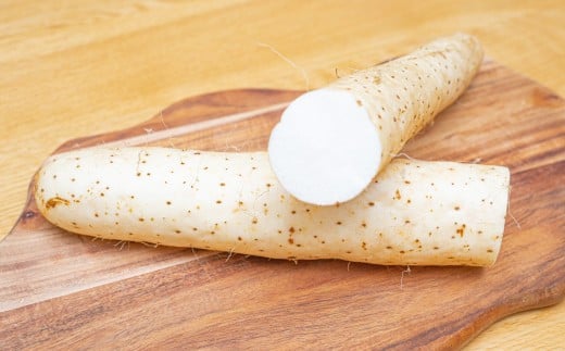 北海道十勝産ながいも 4本セット【B70】