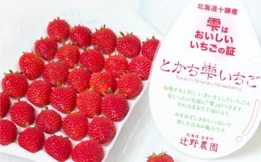 【先行受付】<2025年5月下旬より順次発送予定> 十勝の青空と恵みの水で育った「とかち雫いちご」【A62】