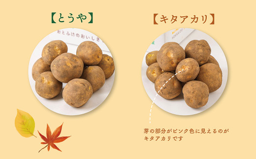 【先行受付】北海道おとふけ産 人気のじゃがいも 2種セット「キタアカリ・とうや」合計9kg 【B73】2025年10月中旬頃より発送予定