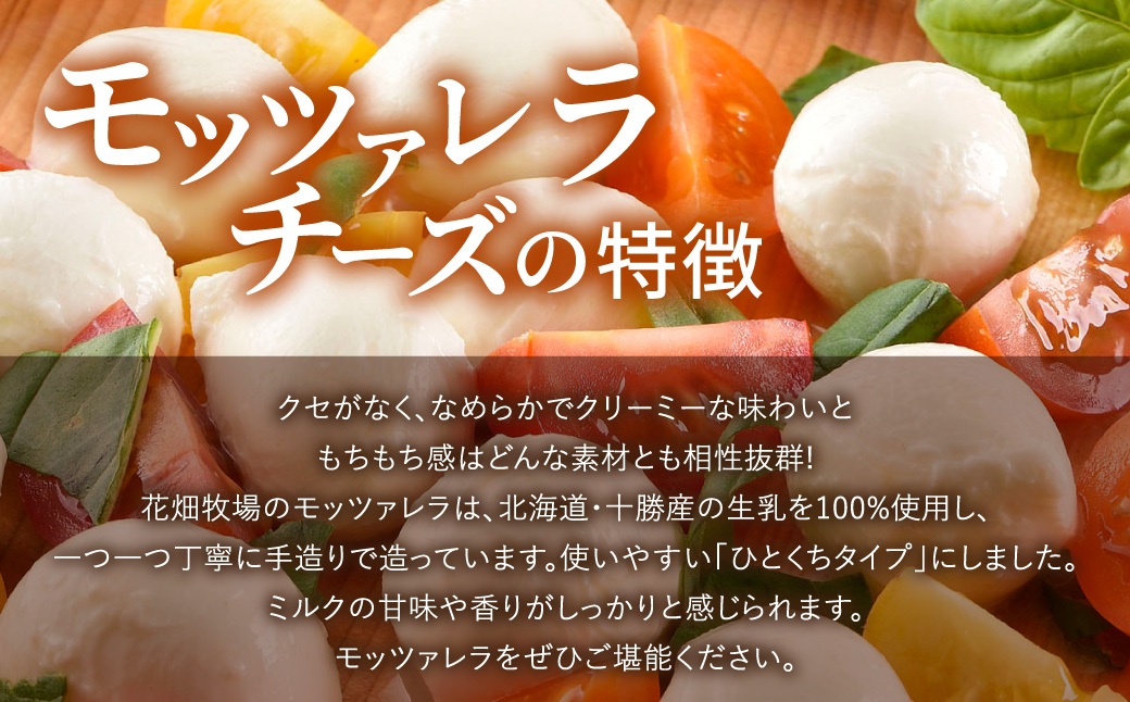 モッツァレラチーズひとくちタイプ 約500g
