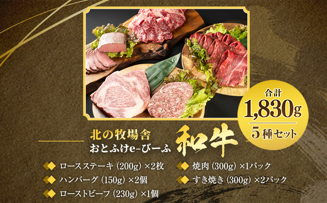 「北の牧場舎」おとふけe-びーふ 和牛 5種8点セット【D21】