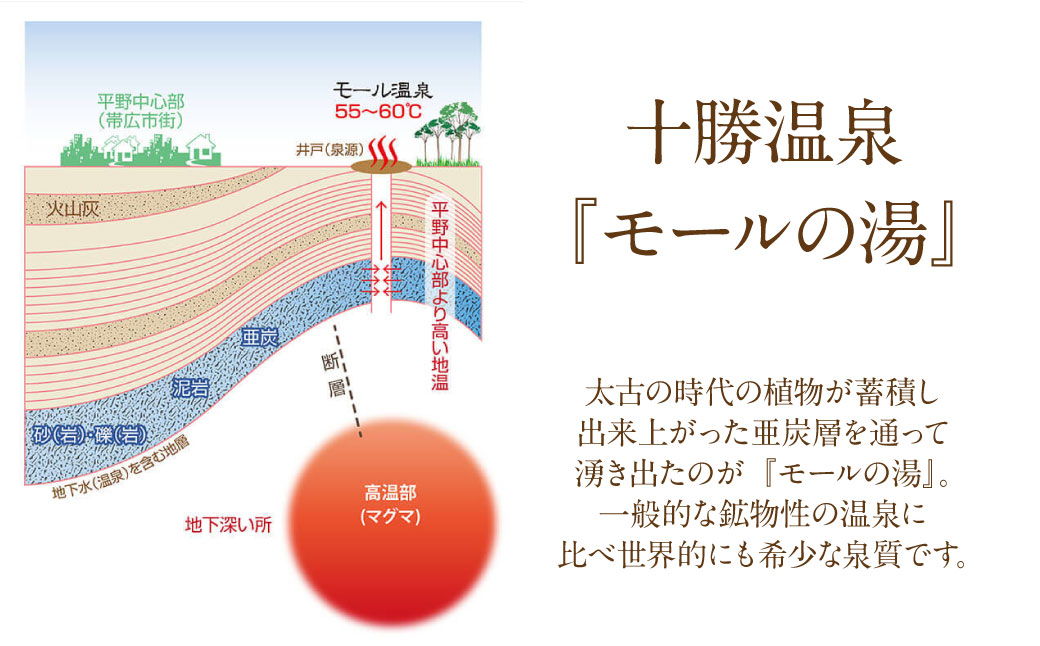 十勝川温泉モール温泉感謝券30,000円分【T-100000】