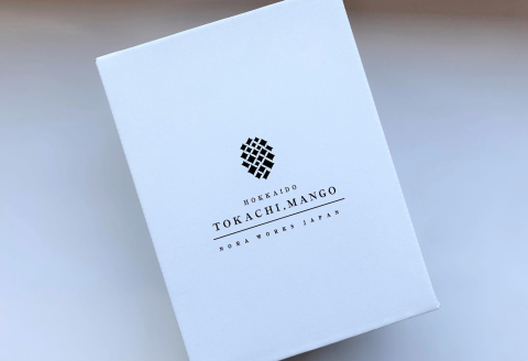 十勝マンゴーLサイズ×2玉【C40】