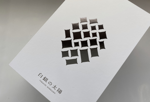 冬の完熟マンゴー 白銀の太陽2Lサイズ×2玉【D18】