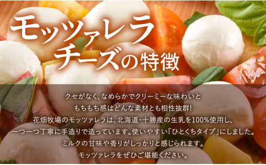 【3回定期便】 花畑牧場 モッツァレラチーズひとくちタイプ 約500g【C85】 モッツァレラチーズ 北海道産