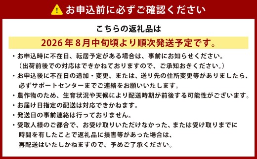 ［先行受付］北海道十勝産 木野シャイニングコーン12本セット【A15】2026年8月中旬頃より順次発送