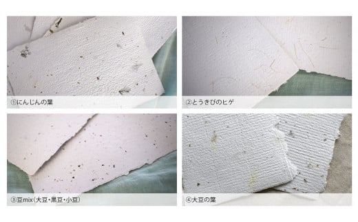 北海道十勝の野菜を活用したアップサイクル名刺30枚【C52】