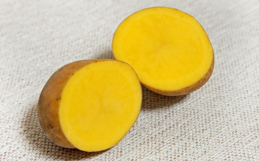 ［先行受付］おとふけ産じゃがいも「インカのめざめ」10kg（Mサイズ）【A36】2025年11月下旬頃より順次発送予定