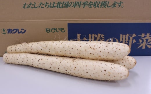 北海道十勝産ながいも 4本セット【B70】