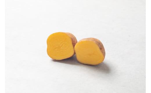 ［先行受付］おとふけ産じゃがいも「インカのめざめ」5kg（Sサイズ）【B126】