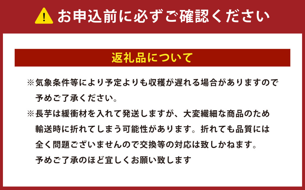 北海道十勝産ながいも 6本セット【A51】
