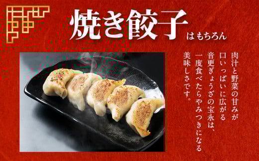  [先行受付]「音更ぎょうざの宝永」手造り冷凍餃子【B31】《令和8年5月～6月以降順次発送予定》