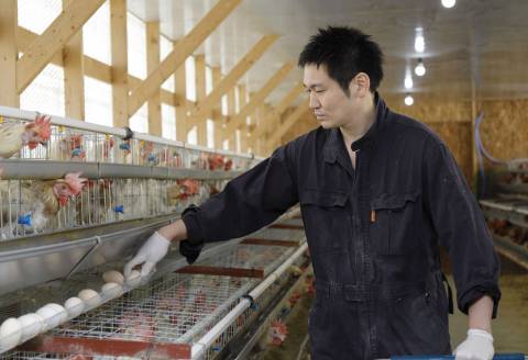 竹内養鶏場の白いたまご「米艶」と黄色いたまご「玉艶」セット【B27】