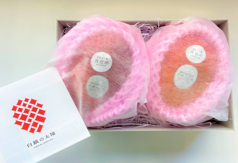 ［先行受付］冬の完熟マンゴー 白銀の太陽Lサイズ×2玉【D17】