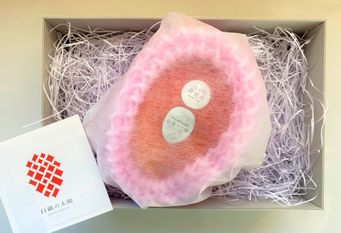 ［先行受付］冬の完熟マンゴー 白銀の太陽Lサイズ×1玉【D23】