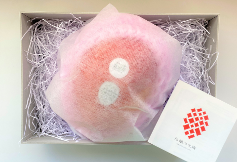 ［先行受付］冬の完熟マンゴー 白銀の太陽4Lサイズ×1玉【D26】