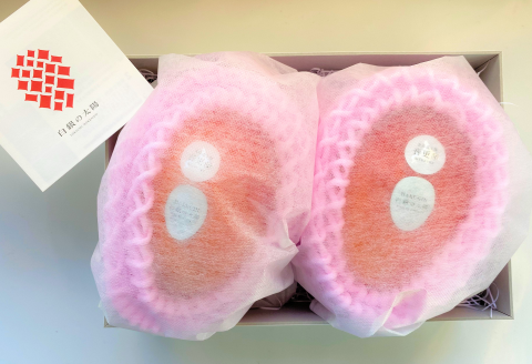 ［先行受付］冬の完熟マンゴー 白銀の太陽4Lサイズ×2玉【D28】